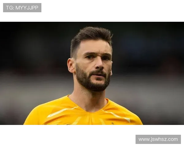 世界杯法国队巅峰之战再现高卢雄鸡的荣耀与遗憾 世界杯法国队巅峰之战再现高卢雄鸡的荣耀与遗憾