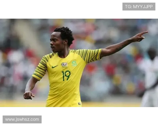 塞内加尔国家男子足球队的崛起与辉煌历程：从非洲之巅到国际赛场的辉煌瞬间